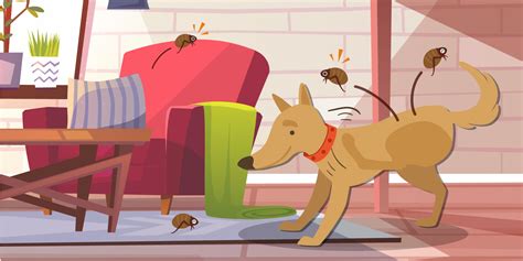 do fleas die without a host